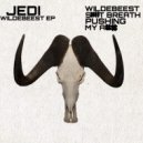 Jedi - My Ass (Original Mix)
