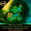 Perpetual Present - Right Now