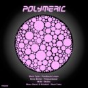Rene Reiter - Polycarbonat (Original Mix)