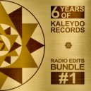 Alex Raider, Joe Lukketti - What You Do (Radio Edit)