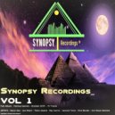 Ray Cosmic - The Spirit of House (Original Mix)