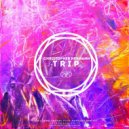 Christopher Hermann - Trip