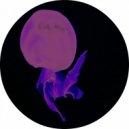 Flavio MP - Kick The Box (Original Mix)