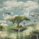 Spiral Factor - Bending Reality