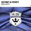 Skynet & Fekky‎‏ - Declivity