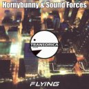 Hornybunny & Sound Forces - Flying
