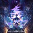 5 Sense, Federal Alchemist - Vibration Experience