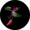 Triprain - Abandoned Brain (Original Mix)
