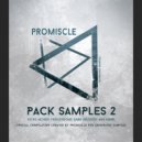 Promiscle - Synth 2 (Original Mix)