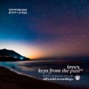 Treex - Keys From The Past (Original Mix)