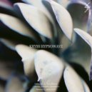 Kryss Hypnowave - Riflessione