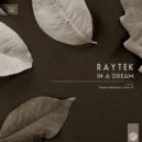 Raytek - Motion