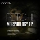 Pitch! - +AAA (Original Mix)