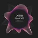 Gosize & Blakoke - Changes