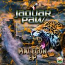 Jaguar Paw - Artista