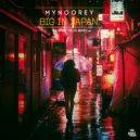 Mynoorey - Big In Japan (Instrumental Mix)