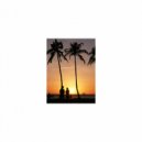 Mindfulness Healing BGM Project - Overall & Communication