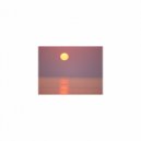 Mindfulness Healing BGM Project - Fossil & Acoustic
