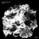 Shadym, Tximeleta - Stellate (Original Mix)