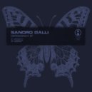 Sandro Galli - Hybernate (Original Mix)