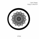 Calvin Pepper - Move (Original Mix)