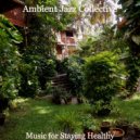 Ambient Jazz Collective - Easy Moment for Siestas ()