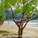Best Jazz Lounge Bar - Backdrop for Staying Focused - Jazz Trio ()