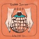 Sebb Junior Feat. Montreea - Just Hold On