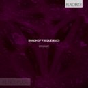 Bunch of Frequencies - Analogue Waterfall