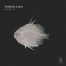 Norberto Lusso - Ichi (Original Mix)