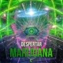 Despertar - Groove Attack (Original Mix)