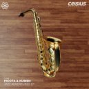 Picota & Kumbh - The Search