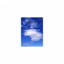 Mindfulness Healing BGM Project - Nature & Nervousness (Original Mix)