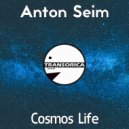 Anton Seim - Flight In Sky