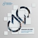Unknown Life Form - Synthetic Paradise (Back In Time) (Extended Mix)