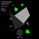Christian Hornbostel - Quaternio (Rich Venom Remix)