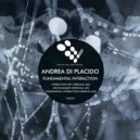 Andrea Di Placido - Fundamental Interaction