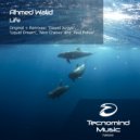 Ahmed Walid - Life