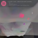 Sache - Cosmic Lamb (Franco Cinelli Remix)