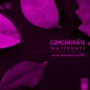 Cøncenträte - Watergate (Deepak Sharma Remix)