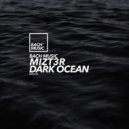 Mizt3r - Savage Spirit (Original Mix)