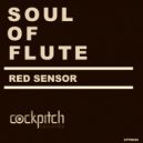Red Sensor - Higher House
