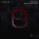 A.J Roland - Point Zero