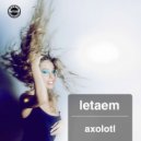 Letaem - Cibernetik Man