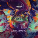 Brlee - Visions (Magdalena Remix)