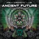 Overdimension - The Past Returns