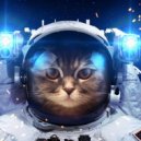 Котаран - Space cat Techno