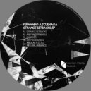 Fernando Azcuenaga - Abstract Triangle