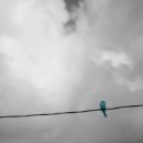 Fixon - Instante Rutilante (Original Mix)