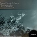 Daniel Testas , Soire - Tranquility